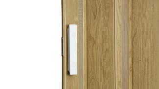 Harmonikaajtó (Világosfa)