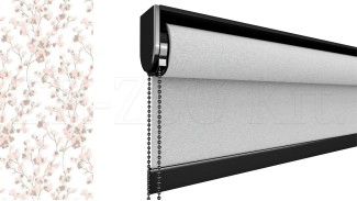 Professional roletta (Prelude)